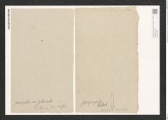 Nitzschia perpusilla Rabh. (de-Toni-Nr.: Genus 47, Species 2138) Zeichnungen Sammlung Grunow (NHMW-BOT-W0372320)
